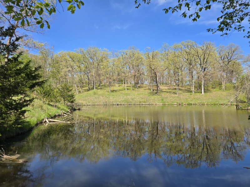 Listing photo 25